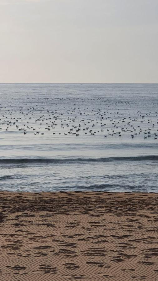 Vilasuites Beach, Sand & Menta Villajoyosa Dış mekan fotoğraf
